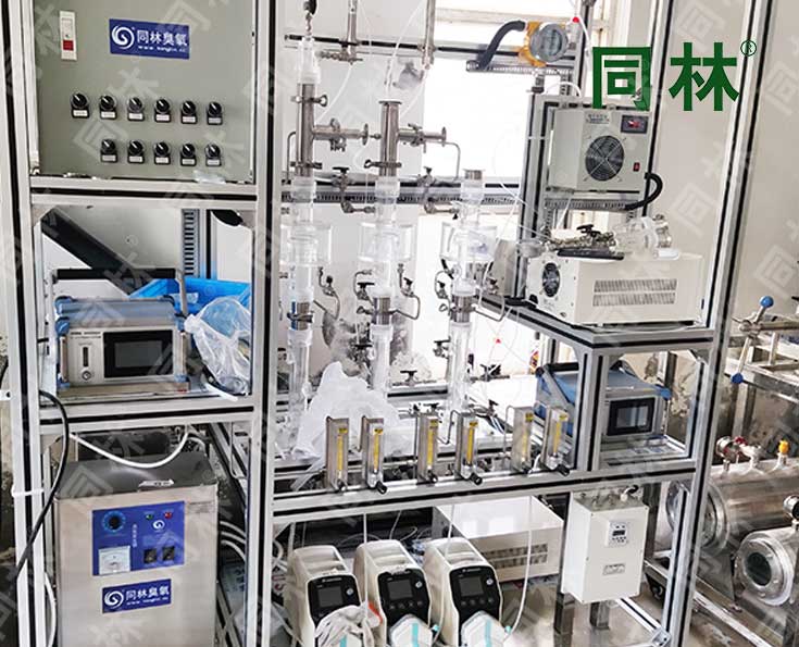 同林多級臭氧催化氧化實